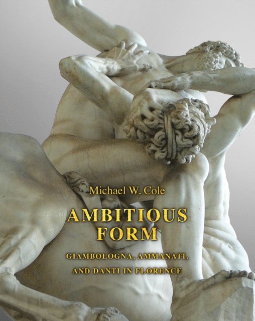 Michael W. Cole - Ambitious Form, E-bok