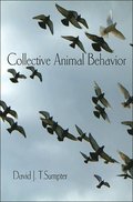 Collective Animal Behavior