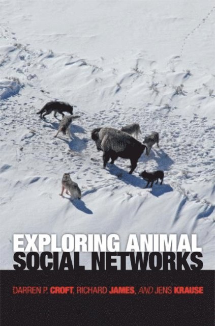 Jens Krause, Richard James, Darren P. Croft - Exploring Animal Social Networks, E-bok