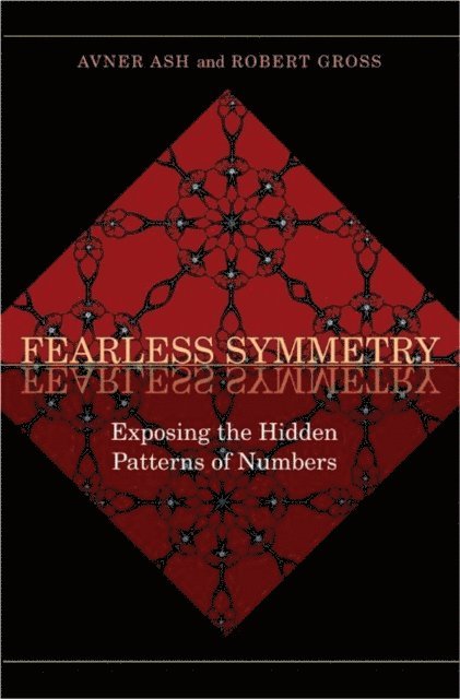 Robert Gross, Avner Ash - Fearless Symmetry, E-bok