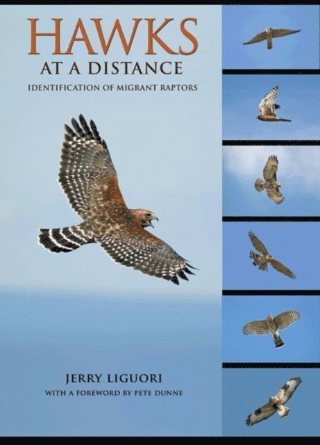 Jerry Liguori - Hawks at a Distance, E-bok