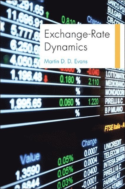 Martin D. D. Evans - Exchange-Rate Dynamics, E-bok