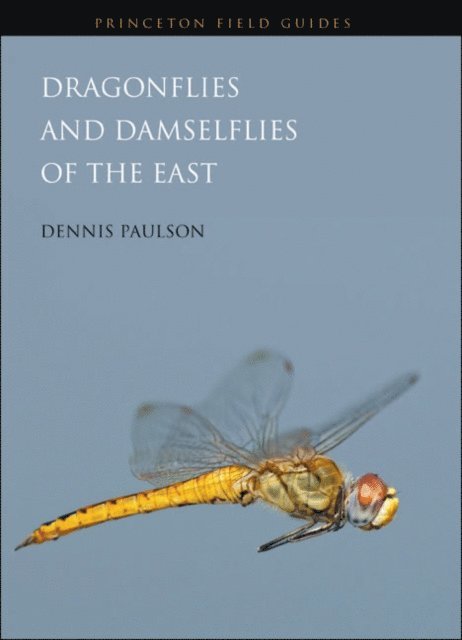Dennis Paulson - Dragonflies and Damselflies of the East, E-bok