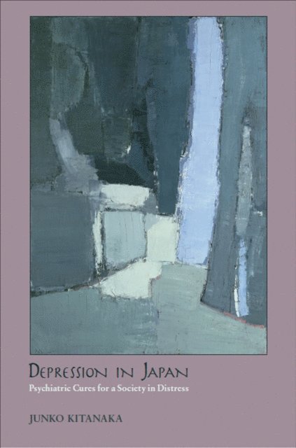 Junko Kitanaka - Depression in Japan, E-bok
