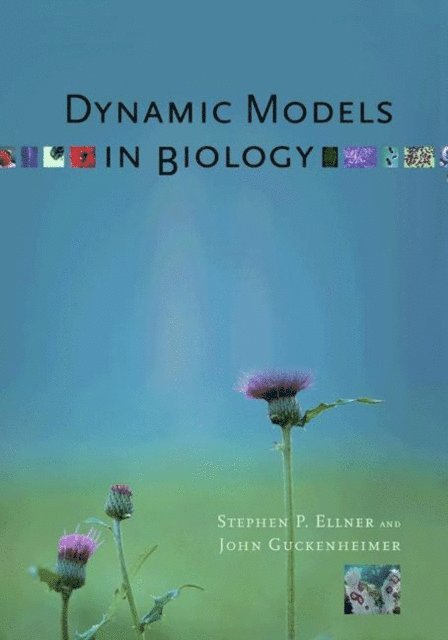 John Guckenheimer, Stephen P. Ellner - Dynamic Models in Biology, E-bok