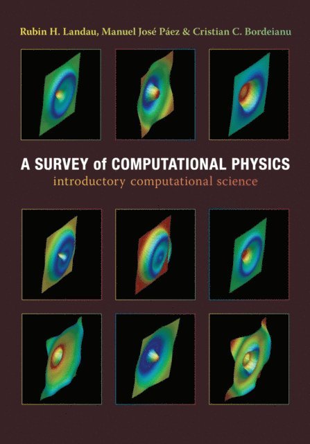 Cristian C. Bordeianu, Jose Paez, Rubin Landau - Survey of Computational Physics, E-bok