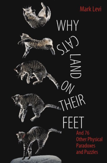 Mark Levi - Why Cats Land on Their Feet, E-bok