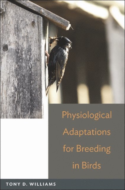 Tony D. Williams - Physiological Adaptations for Breeding in Birds, E-bok