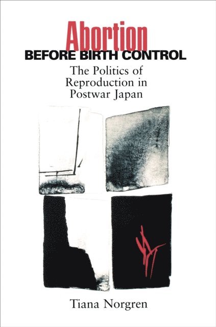 Christiana Norgren, Tiana Norgren - Abortion before Birth Control, E-bok