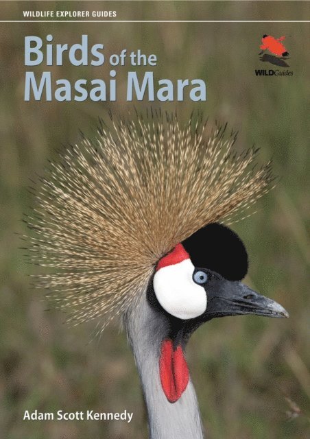 Adam Scott Kennedy - Birds of the Masai Mara, E-bok