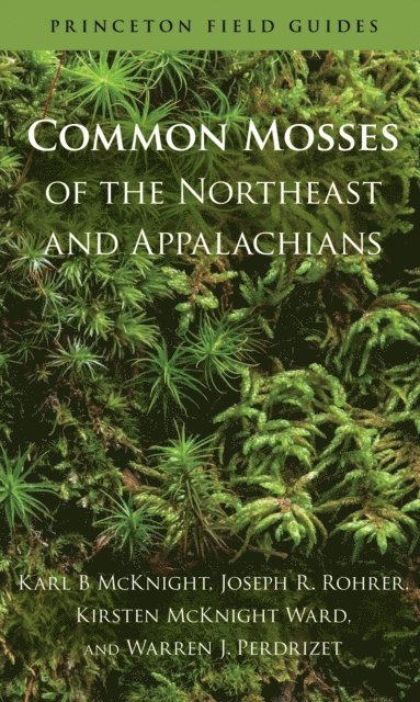 Warren J. Perdrizet, Kirsten McKnight Ward, Joseph R. Rohrer, Karl B McKnight - Common Mosses of the Northeast and Appalachians, E-bok