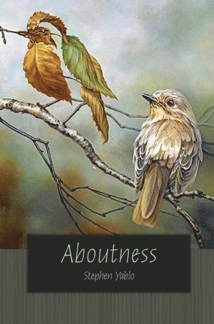Stephen Yablo - Aboutness, E-bok