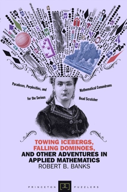 Robert B. Banks - Towing Icebergs, Falling Dominoes, and Other Adventures in Applied Mathematics, E-bok