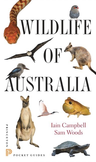 Sam Woods, Iain Campbell - Wildlife of Australia, E-bok