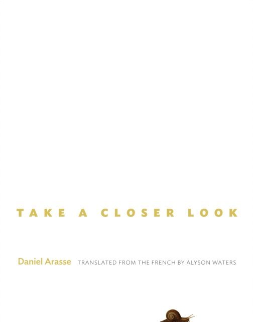 Daniel Arasse - Take a Closer Look, E-bok