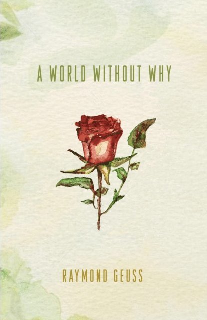 Raymond Geuss - World without Why, E-bok
