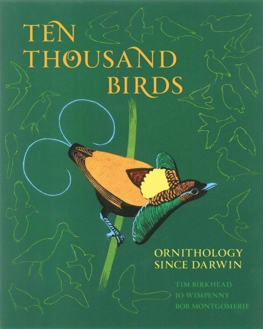 Bob Montgomerie, Jo Wimpenny, Tim Birkhead - Ten Thousand Birds, E-bok