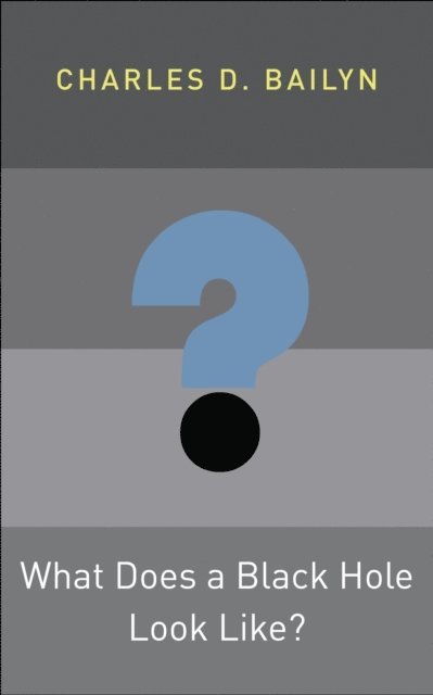 Charles D. Bailyn - What Does a Black Hole Look Like?, E-bok