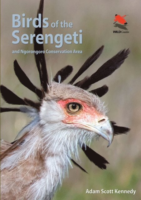 Adam Scott Kennedy - Birds of the Serengeti, E-bok