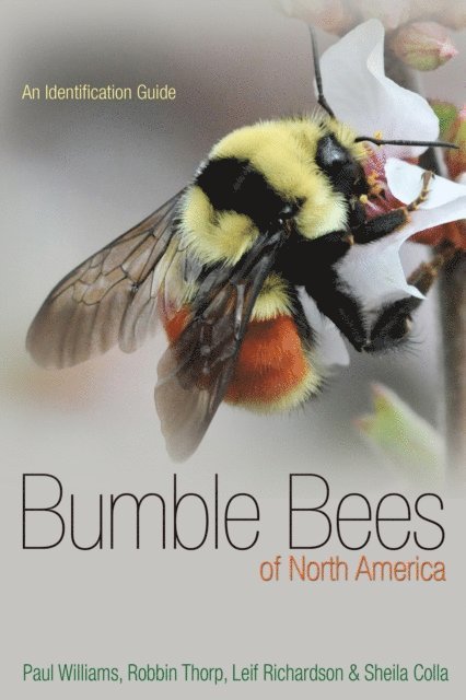 Sheila R. Colla, Leif L. Richardson, Robbin W. Thorp, Paul H. Williams - Bumble Bees of North America, E-bok