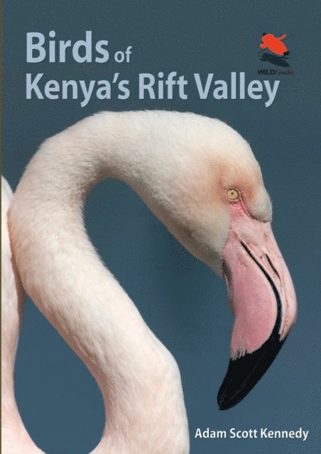 Adam Scott Kennedy - Birds of Kenya's Rift Valley, E-bok