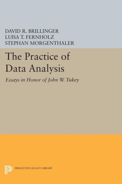 Stephan Morgenthaler, Luisa T. Fernholz, David R. Brillinger - Practice of Data Analysis, E-bok