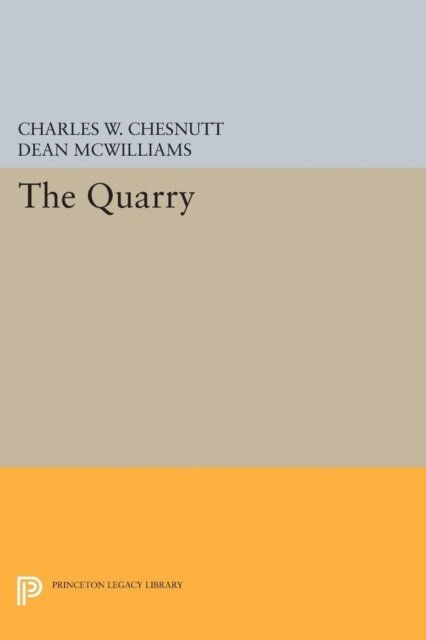 Charles W. Chesnutt, David Dean McWilliams - Quarry, E-bok