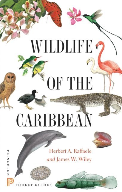 James Wiley, Herbert A. Raffaele - Wildlife of the Caribbean, E-bok