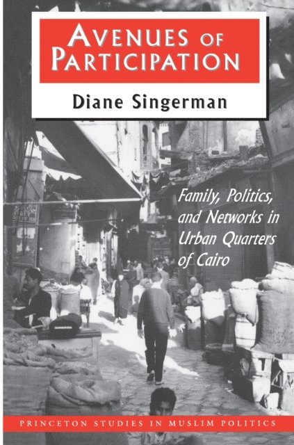 Diane Singerman - Avenues of Participation, E-bok