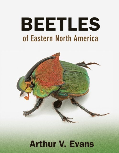 Arthur V. Evans - Beetles of Eastern North America, E-bok