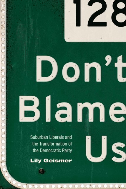 Lily Geismer - Don't Blame Us, E-bok