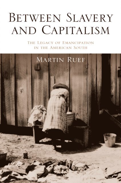 Martin Ruef - Between Slavery and Capitalism, E-bok