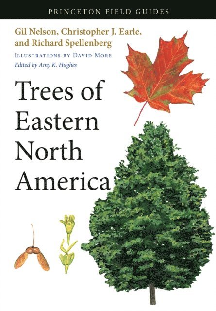 Richard Spellenberg, Christopher J. Earle, Gil Nelson, Amy K. Hughes - Trees of Eastern North America, E-bok