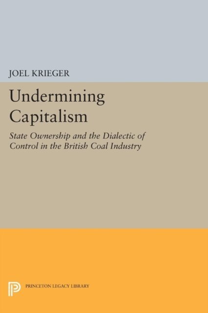 Joel Krieger - Undermining Capitalism, E-bok