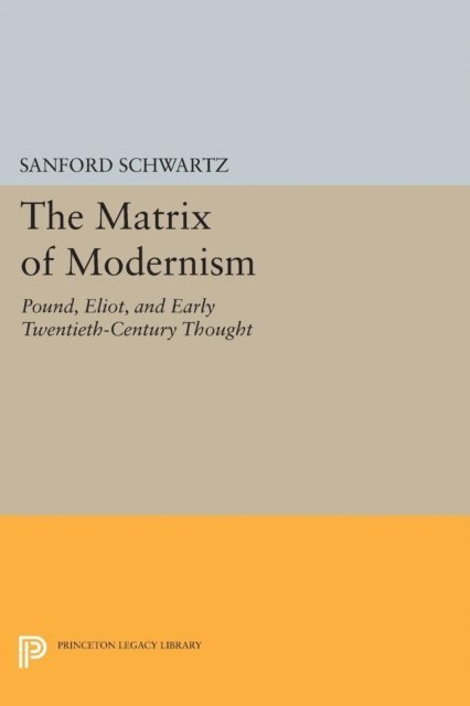 Sanford Schwartz - Matrix of Modernism, E-bok