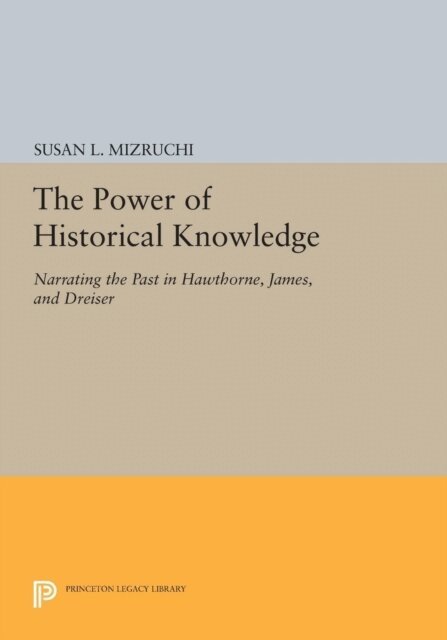 Susan L. Mizruchi - Power of Historical Knowledge, E-bok