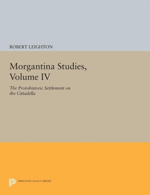 Robert Leighton - Morgantina Studies, Volume IV, E-bok
