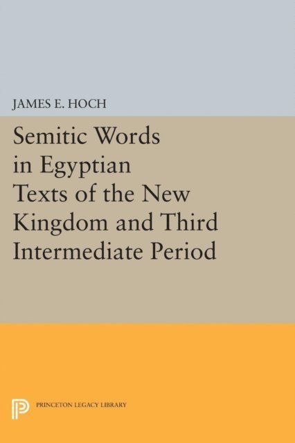 James E. Hoch - Semitic Words in Egyptian Texts of the New Kingdom and Third Intermediate Period, E-bok