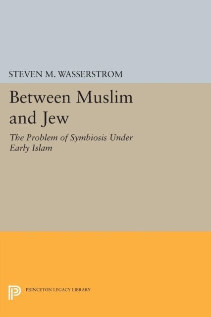 Steven M. Wasserstrom - Between Muslim and Jew, E-bok