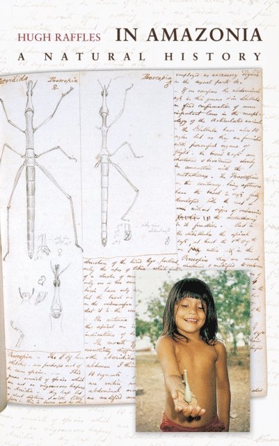 Hugh Raffles - In Amazonia, E-bok