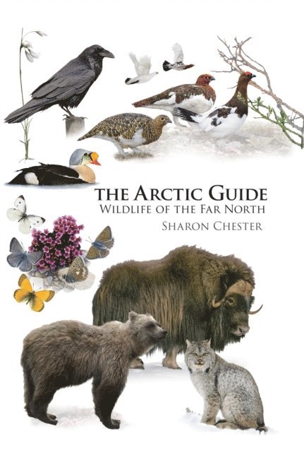 Sharon Chester - Arctic Guide, E-bok