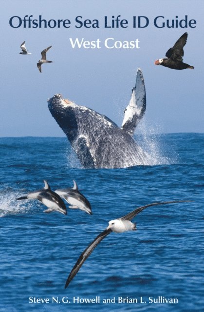 Brian L. Sullivan, Steve N. G. Howell - Offshore Sea Life ID Guide, E-bok