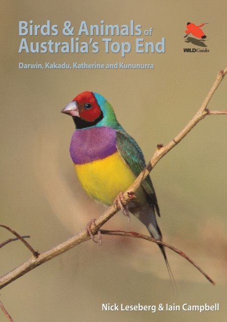 Iain Campbell, Nick Leseberg - Birds and Animals of Australia's Top End, E-bok