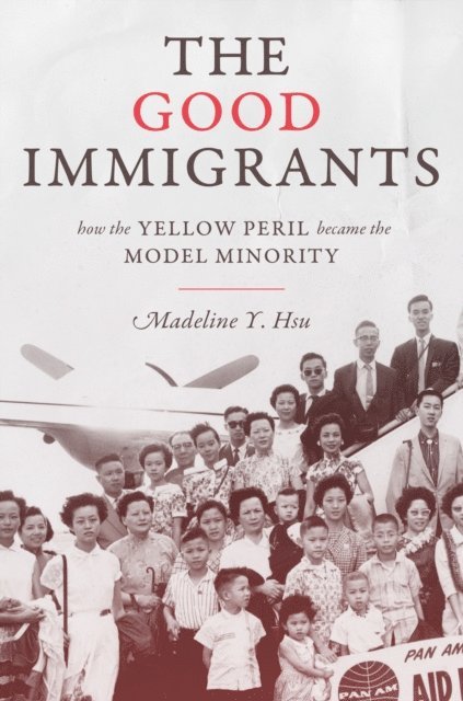 Madeline Y. Hsu - Good Immigrants, E-bok