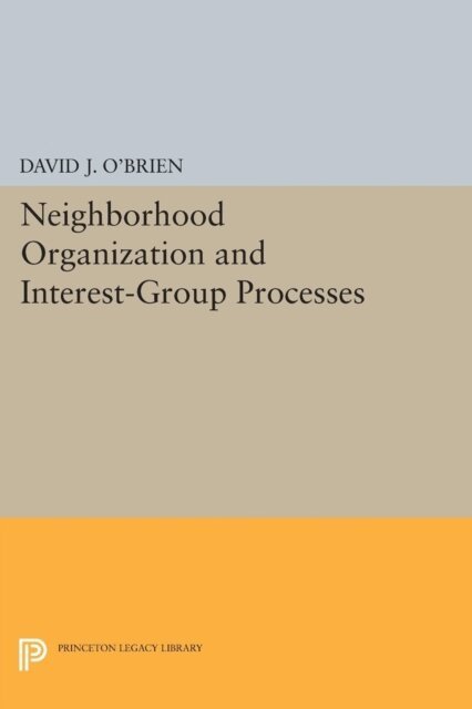 David J. O'Brien - Neighborhood Organization and Interest-Group Processes, E-bok