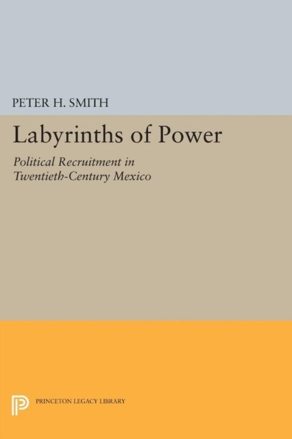 Peter H. Smith - Labyrinths of Power, E-bok