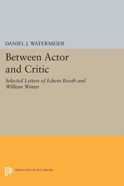 Daniel J. Watermeier - Between Actor and Critic, E-bok