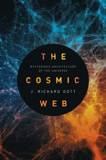 J. Richard Gott - Cosmic Web, E-bok