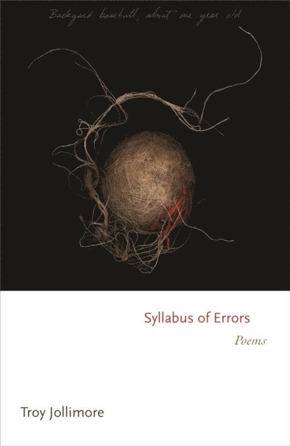 Troy Jollimore - Syllabus of Errors, E-bok