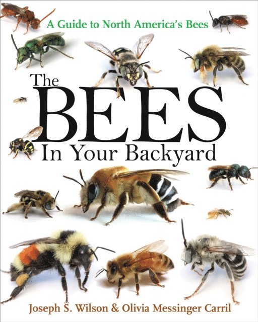 Olivia Messinger Carril, Joseph S. Wilson - Bees in Your Backyard, E-bok